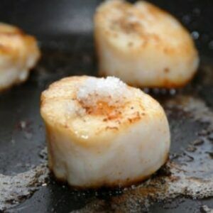 Noix de Saint Jacques